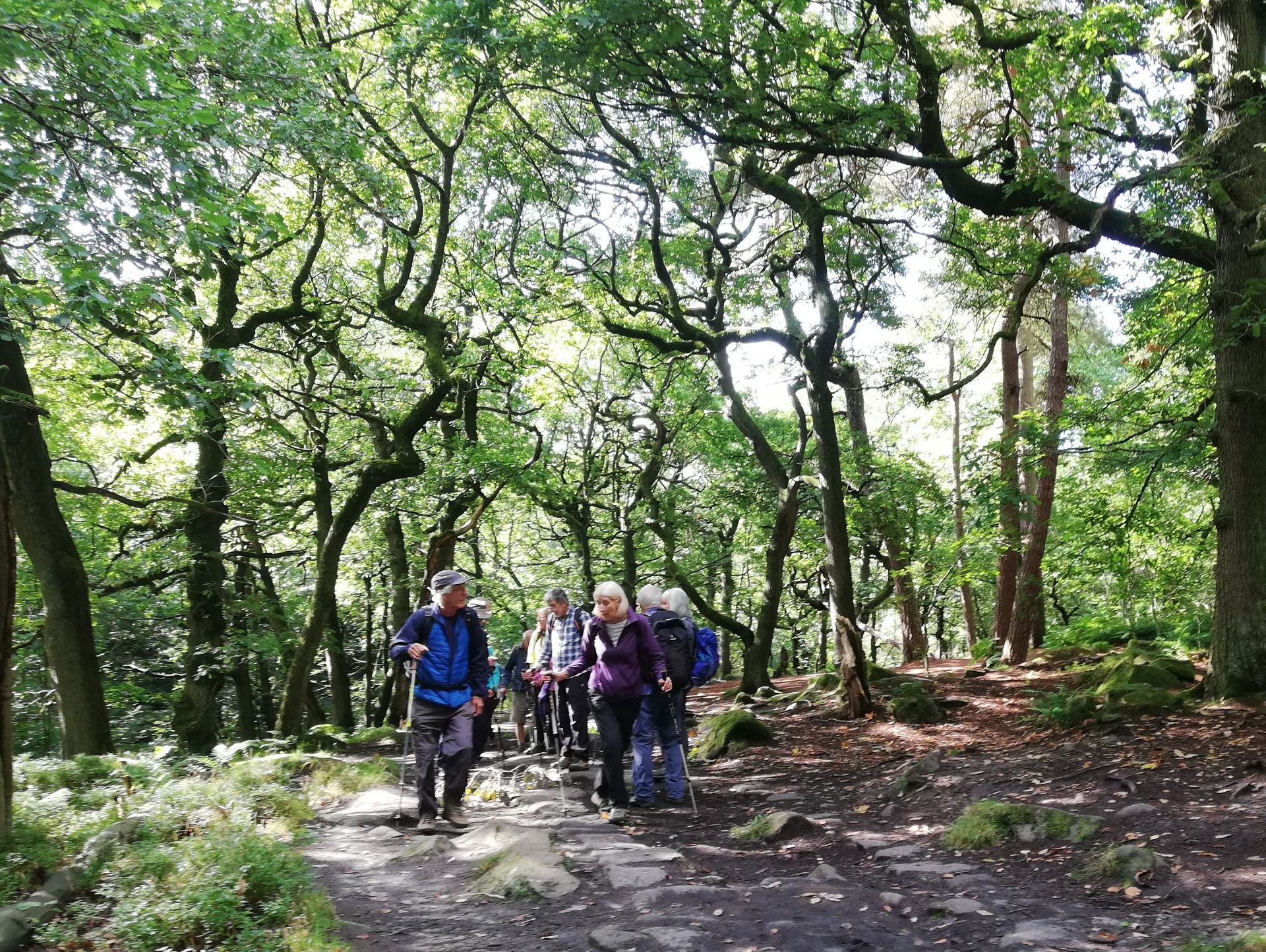 Ramblers in Padley Gorge woods